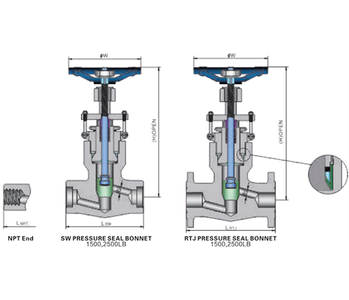 Forged Steel PSB Globe Valve